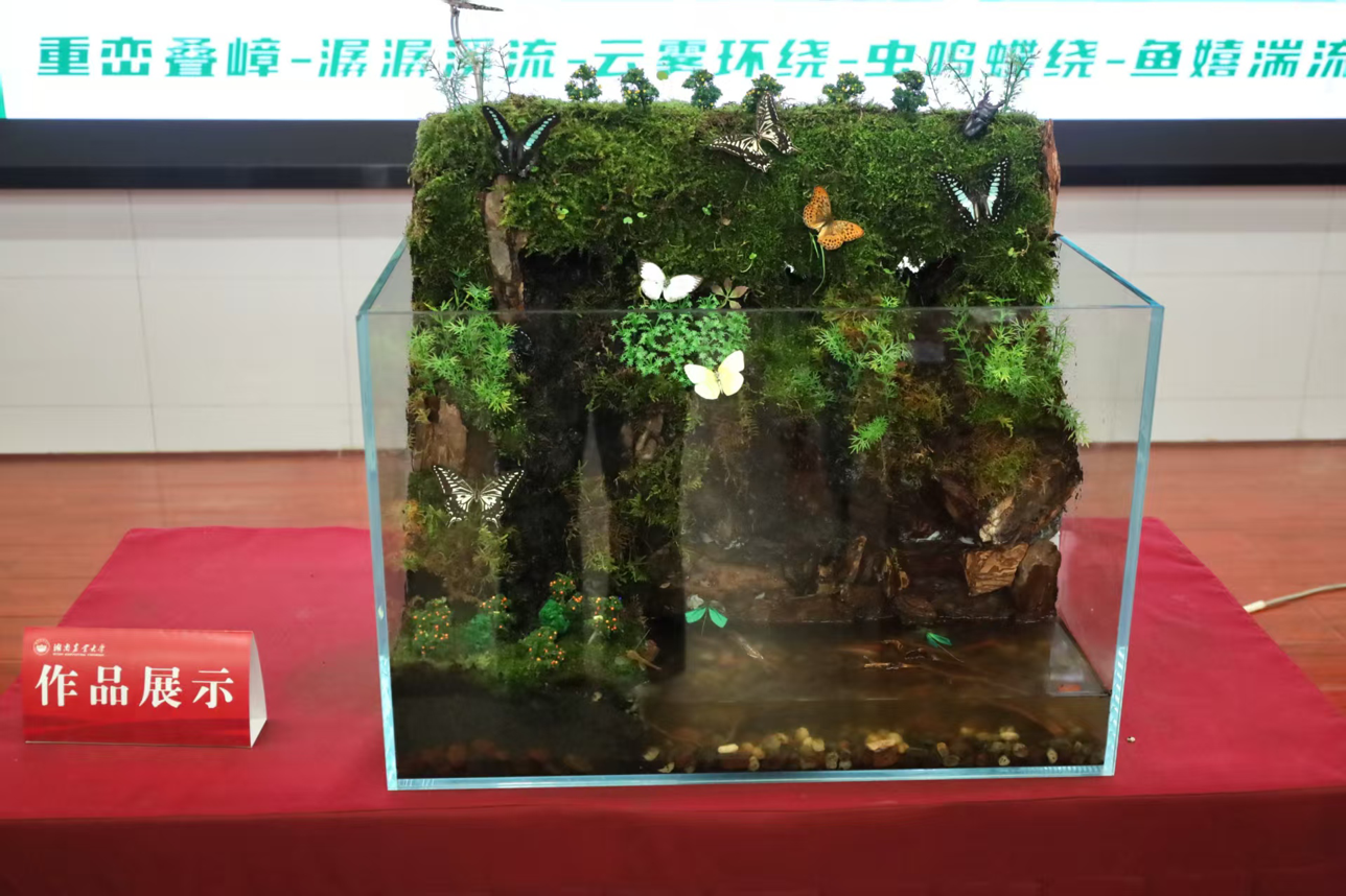 图片9.png