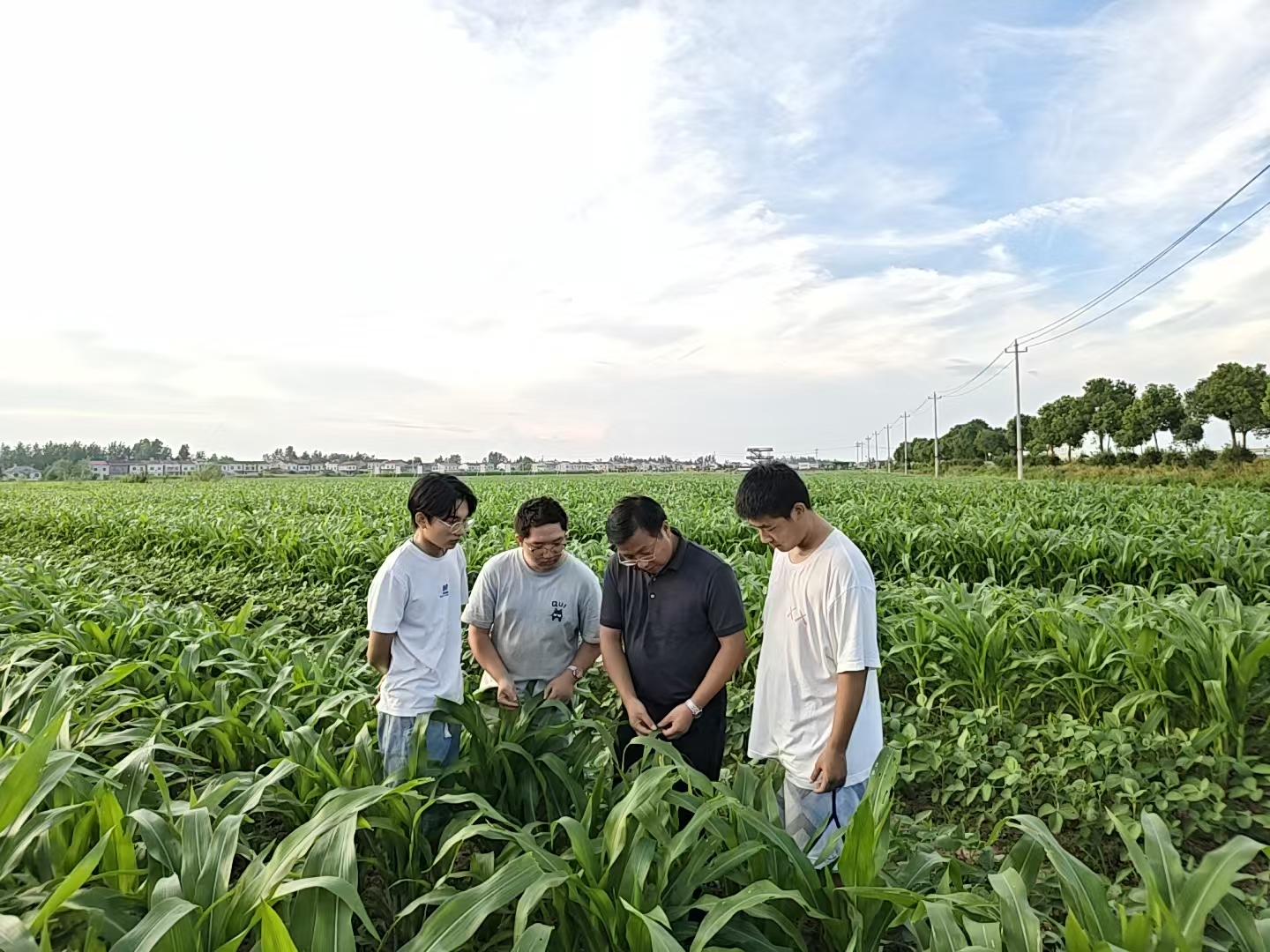 微信图片_20260724201157_462_751.jpg